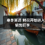 寒冬渐远 鲜花开始进入销售旺季(图2) 寒冬渐远 鲜花开始进入销售旺季(图2)