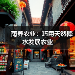 雨养农业：巧用天然降水发展农业（图4）