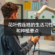 花叶假连翘的生活习性和种植要点(图2) 花叶假连翘的生活习性和种植要点(图2)