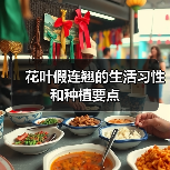 花叶假连翘的生活习性和种植要点(图4) 花叶假连翘的生活习性和种植要点(图4)