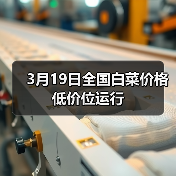 3月19日全国白菜价格低价位运行(图1) 3月19日全国白菜价格低价位运行(图1)