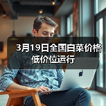 3月19日全国白菜价格低价位运行(图3) 3月19日全国白菜价格低价位运行(图3)