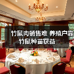 竹鼠肉销售难 养殖户靠竹鼠种苗获益(图1) 竹鼠肉销售难 养殖户靠竹鼠种苗获益(图1)