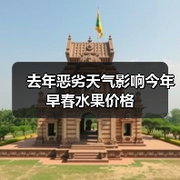 去年恶劣天气影响今年早春水果价格(图4) 去年恶劣天气影响今年早春水果价格(图4)