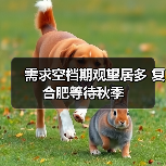 需求空档期观望居多 复合肥等待秋季(图2) 需求空档期观望居多 复合肥等待秋季(图2)