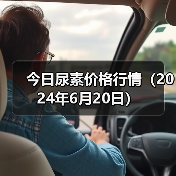 今日尿素价格行情(2024年6月20日)(图3) 今日尿素价格行情(2024年6月20日)(图3)