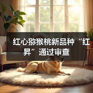 红心猕猴桃新品种“红昇”通过审查 红心猕猴桃新品种“红昇”通过审查