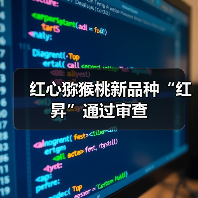 红心猕猴桃新品种“红昇”通过审查(图3) 红心猕猴桃新品种“红昇”通过审查(图3)