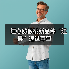红心猕猴桃新品种“红昇”通过审查(图4) 红心猕猴桃新品种“红昇”通过审查(图4)