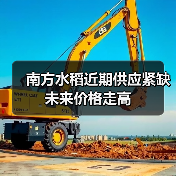 南方水稻近期供应紧缺 未来价格走高 南方水稻近期供应紧缺 未来价格走高