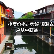 小麦价格走势好 澳洲农户从中获益(图2) 小麦价格走势好 澳洲农户从中获益(图2)