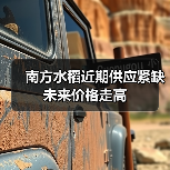 南方水稻近期供应紧缺 未来价格走高(图4) 南方水稻近期供应紧缺 未来价格走高(图4)