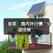 尿素：国内外行情“分道扬镳”（图1）