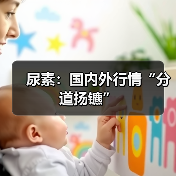 尿素：国内外行情“分道扬镳”（图2）