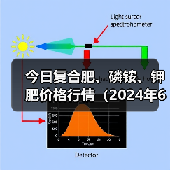 今日复合肥、磷铵、钾肥价格行情(2024年6月19日)(图2) 今日复合肥、磷铵、钾肥价格行情(2024年6月19日)(图2)