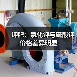 钾肥:氯化钾与硫酸钾价格差异明显(图2) 钾肥:氯化钾与硫酸钾价格差异明显(图2)