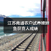 江苏南通农户试养娃娃鱼获喜人成绩(图2) 江苏南通农户试养娃娃鱼获喜人成绩(图2)
