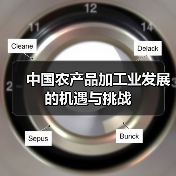 中国农产品加工业发展的机遇与挑战（图1）