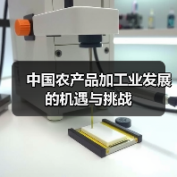中国农产品加工业发展的机遇与挑战（图3）