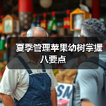 夏季管理苹果幼树掌握八要点(图1) 夏季管理苹果幼树掌握八要点(图1)