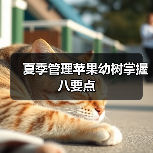 夏季管理苹果幼树掌握八要点 夏季管理苹果幼树掌握八要点
