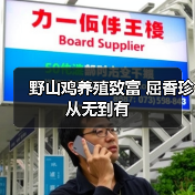 野山鸡养殖致富 屈香珍从无到有(图3) 野山鸡养殖致富 屈香珍从无到有(图3)