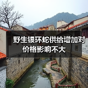 野生银环蛇供给增加对价格影响不大(图2) 野生银环蛇供给增加对价格影响不大(图2)