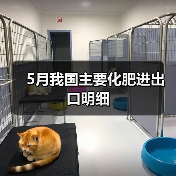 5月我国主要化肥进出口明细(图1) 5月我国主要化肥进出口明细(图1)