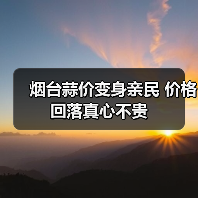 烟台蒜价变身亲民 价格回落真心不贵(图3) 烟台蒜价变身亲民 价格回落真心不贵(图3)