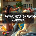 棉籽壳用处颇多 培栽平菇也靠它(图3) 棉籽壳用处颇多 培栽平菇也靠它(图3)
