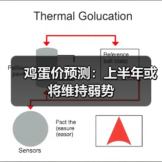 鸡蛋价预测:上半年或将维持弱势(图2) 鸡蛋价预测:上半年或将维持弱势(图2)