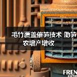 毛竹覆盖催笋技术 助笋农增产增收(图1) 毛竹覆盖催笋技术 助笋农增产增收(图1)