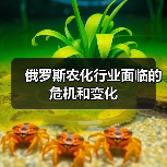 俄罗斯农化行业面临的危机和变化(图1) 俄罗斯农化行业面临的危机和变化(图1)