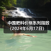 中国肥料价格系列指数(2024年6月17日)(图4) 中国肥料价格系列指数(2024年6月17日)(图4)