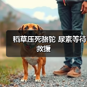 稻草压死骆驼 尿素等待救援(图1) 稻草压死骆驼 尿素等待救援(图1)