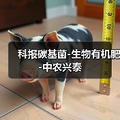 科报碳基菌-生物有机肥-中农兴泰(图4) 科报碳基菌-生物有机肥-中农兴泰(图4)