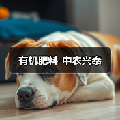 有机肥料-中农兴泰(图3) 有机肥料-中农兴泰(图3)