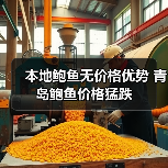 本地鲍鱼无价格优势 青岛鲍鱼价格猛跌 本地鲍鱼无价格优势 青岛鲍鱼价格猛跌