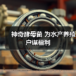 神奇酵母菌 为水产养殖户谋福利（图2）