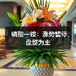 磷酸一铵:涨势暂停,盘整为主(图3) 磷酸一铵:涨势暂停,盘整为主(图3)