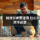 挑选甘蔗要谨慎 红心甘蔗不能要(图3) 挑选甘蔗要谨慎 红心甘蔗不能要(图3)