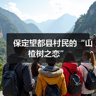 保定望都县村民的“山楂树之恋”(图4) 保定望都县村民的“山楂树之恋”(图4)