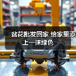 盆花批发回家 给家里添上一抹绿色(图1) 盆花批发回家 给家里添上一抹绿色(图1)