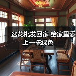 盆花批发回家 给家里添上一抹绿色(图2) 盆花批发回家 给家里添上一抹绿色(图2)