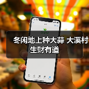 冬闲地上种大蒜 大溪村生财有道(图1) 冬闲地上种大蒜 大溪村生财有道(图1)