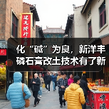 化“碱”为良,新洋丰磷石膏改土技术有了新进展(图2) 化“碱”为良,新洋丰磷石膏改土技术有了新进展(图2)