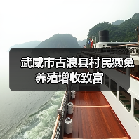 武威市古浪县村民獭兔养殖增收致富(图1) 武威市古浪县村民獭兔养殖增收致富(图1)