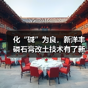化“碱”为良,新洋丰磷石膏改土技术有了新进展(图3) 化“碱”为良,新洋丰磷石膏改土技术有了新进展(图3)