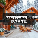 大乔木树种栽种 树间距以八米为佳(图3) 大乔木树种栽种 树间距以八米为佳(图3)