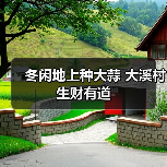 冬闲地上种大蒜 大溪村生财有道(图4) 冬闲地上种大蒜 大溪村生财有道(图4)